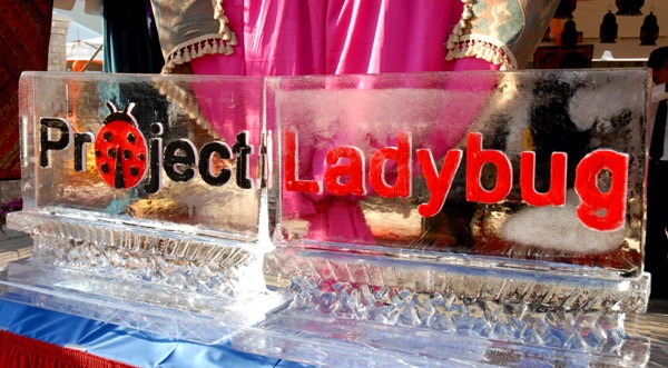 Project Ladybug Project Ladybug