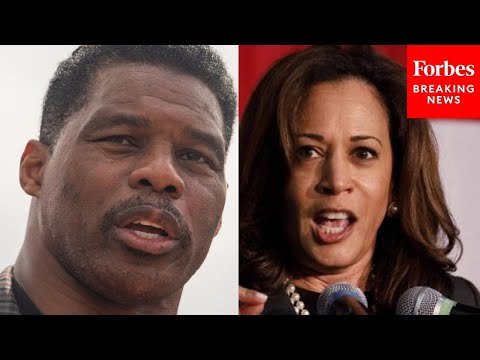 &#039;I&#039;ve Got Another Thing That Bothers Me...&#039;: Herschel Walker Slams Kamala Harris&#039; Border Claims