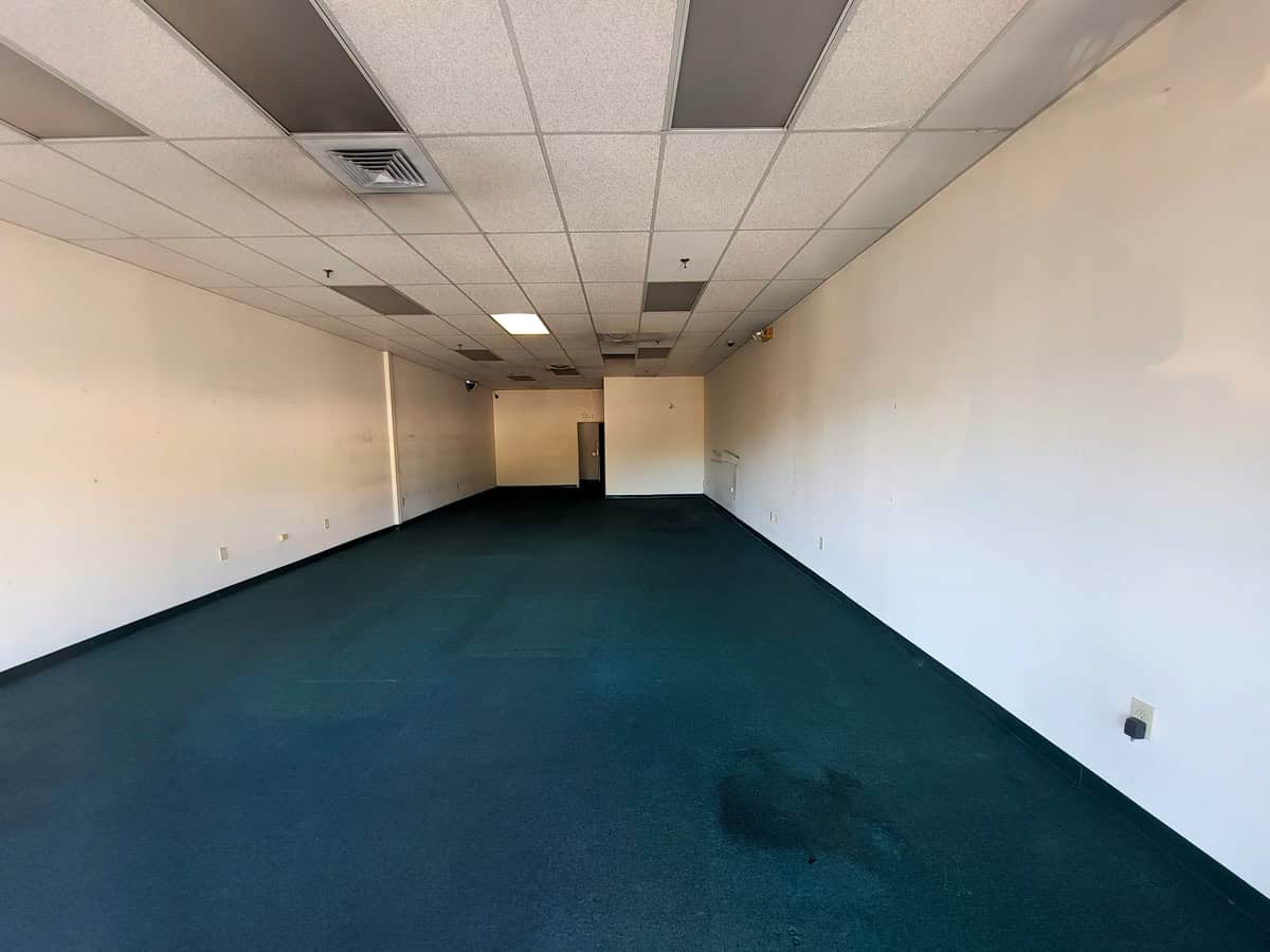 The Real-Life Backrooms Video Store Contact Any Celebrity Founder Jordan McAuley Worked At In The 1990s Before It Closed.