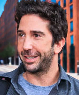 contact David Schwimmer