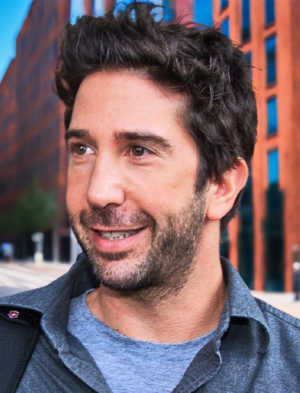 Photo ofDavid Lawrence Schwimmer