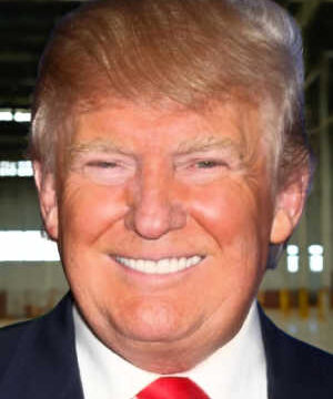 contact Donald Trump