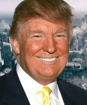 contact Donald Trump
