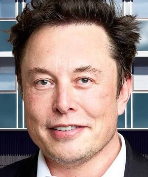 contact Elon Musk