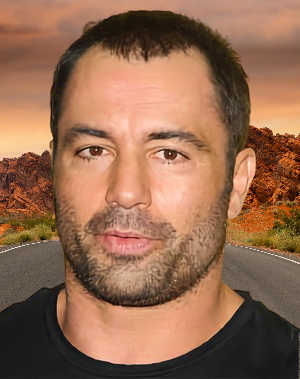 contact Joe Rogan