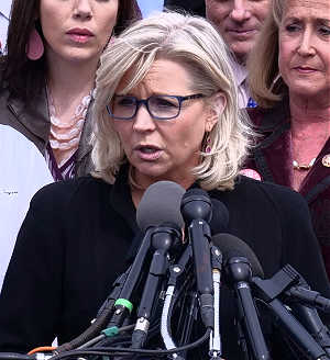 contact Liz Cheney