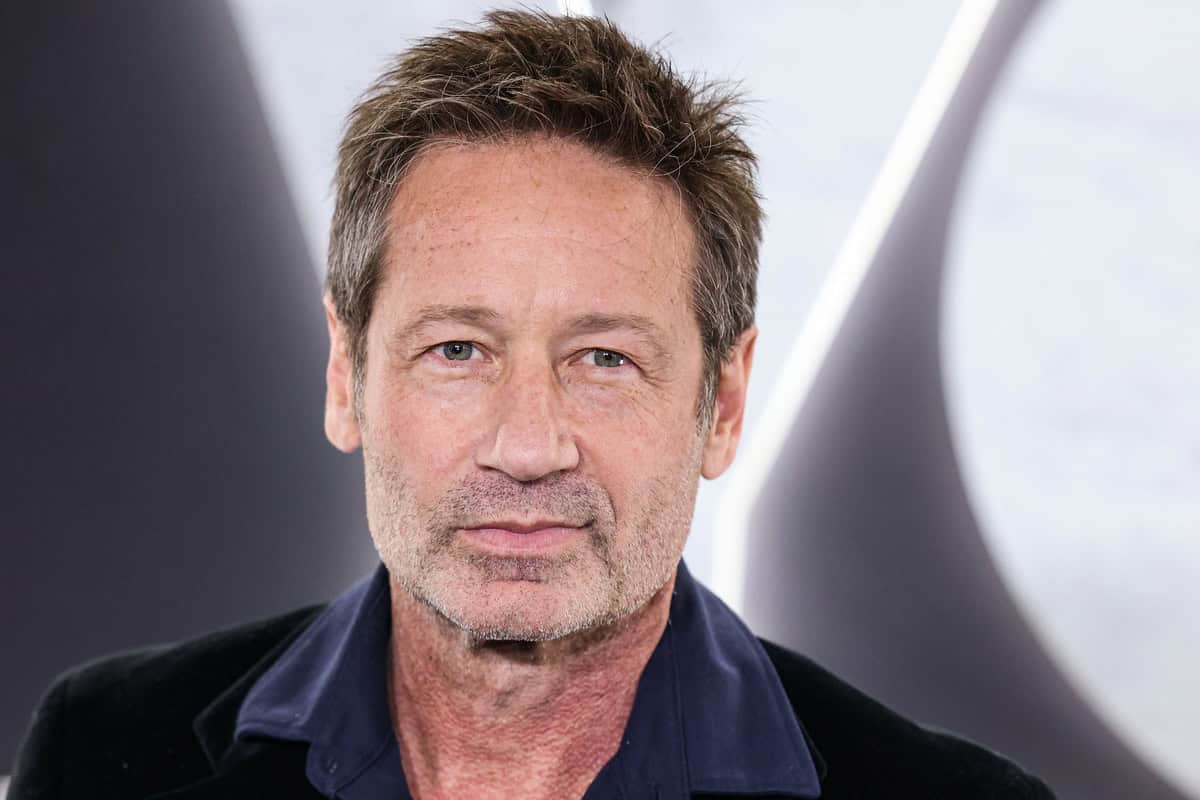 David Duchovny at the Los Angeles Premiere Of Netflix's 'You People' at the Regency Village Theatre on January 17, 2023, in Westwood, Los Angeles, California.