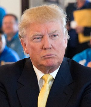 Contact Donald Trump